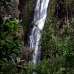 Aguas Blancas, Constanza Aguas Blancas, Constanza