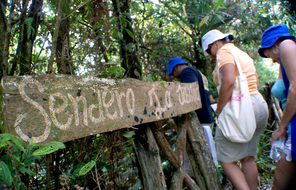 Sendero de la Jibijoa