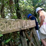 Sendero de la Jibijoa Sendero de la Jibijoa